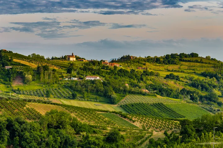 © Vivida Photo PC - stock.adobe.com Hügellandschaft mit Weinbergen und kleinen Gebäuden unter bewölktem Himmel.