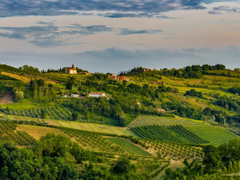 Hügellandschaft mit Weinbergen und kleinen Gebäuden unter bewölktem Himmel.