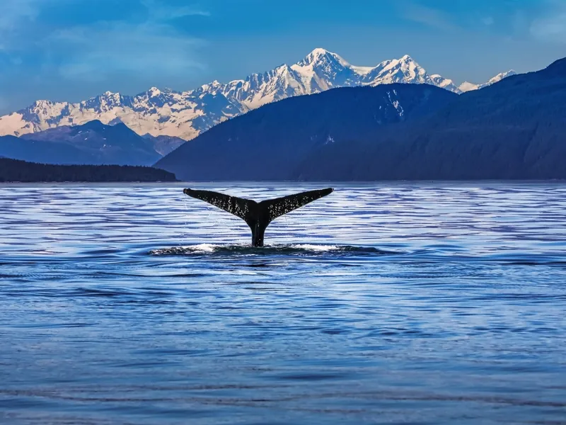 Icy Strait