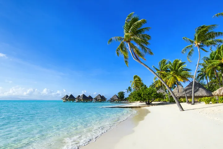 Tropischer Strand mit Palmen und Strohhütten am klaren, blauen Meer.