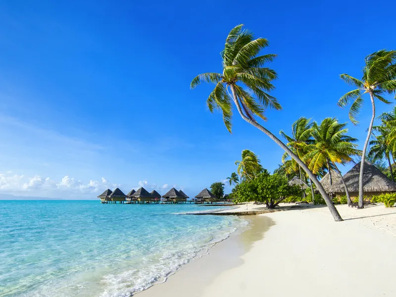 Tropischer Strand mit Palmen und Strohhütten am klaren, blauen Meer.