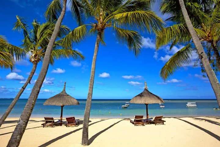 Palmenstrand mit Liegen, Sonnenschirmen und Blick auf das Meer bei klarem Himmel