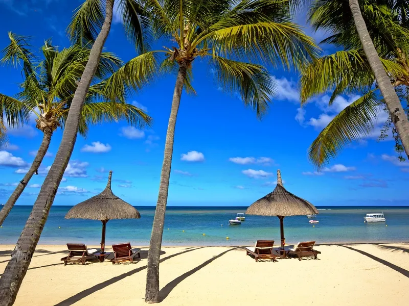 Palmenstrand mit Liegen, Sonnenschirmen und Blick auf das Meer bei klarem Himmel