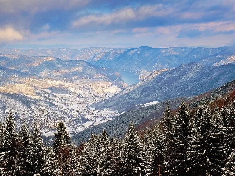 Verschneite Berglandschaft mit Tannen und Tal im Hintergrund.