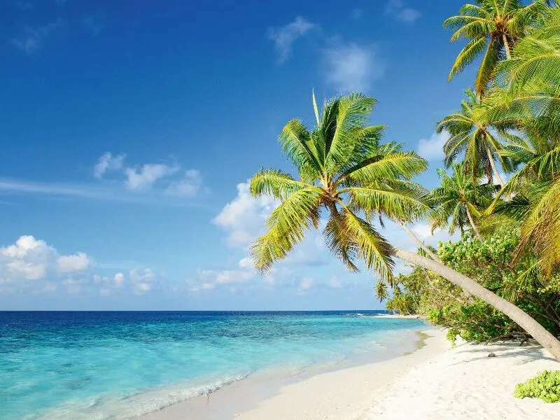 Ostern: Seychellen und Malediven